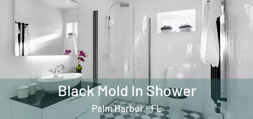  Black Mold In Shower Palm Harbor - FL