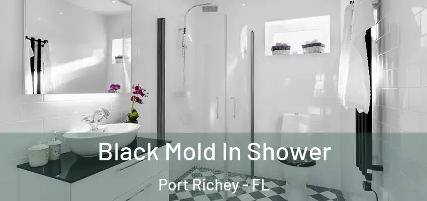  Black Mold In Shower Port Richey - FL