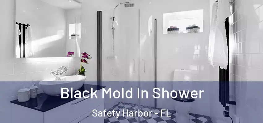 Black Mold In Shower Safety Harbor - FL