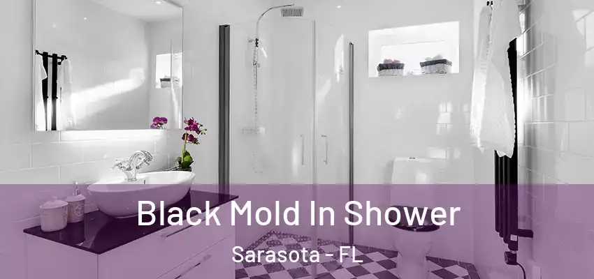  Black Mold In Shower Sarasota - FL
