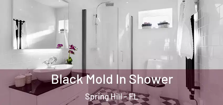  Black Mold In Shower Spring Hill - FL