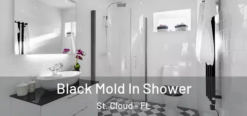 Black Mold In Shower St. Cloud - FL