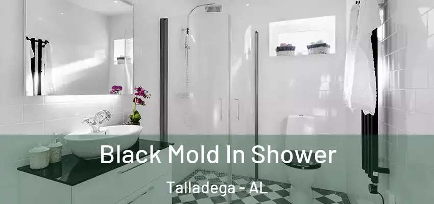  Black Mold In Shower Talladega - AL