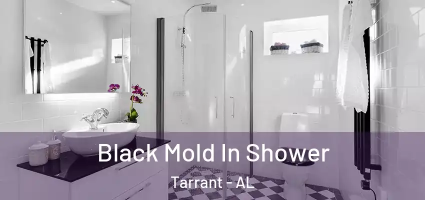  Black Mold In Shower Tarrant - AL