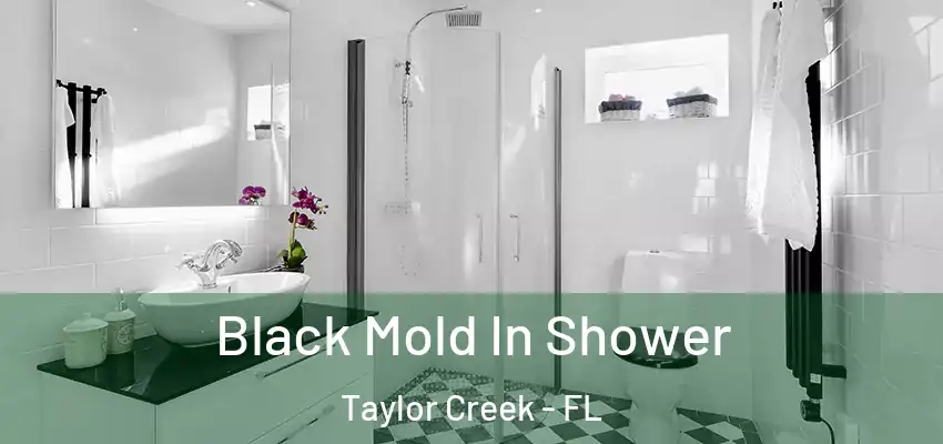  Black Mold In Shower Taylor Creek - FL