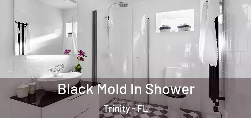  Black Mold In Shower Trinity - FL