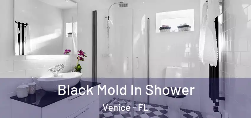  Black Mold In Shower Venice - FL