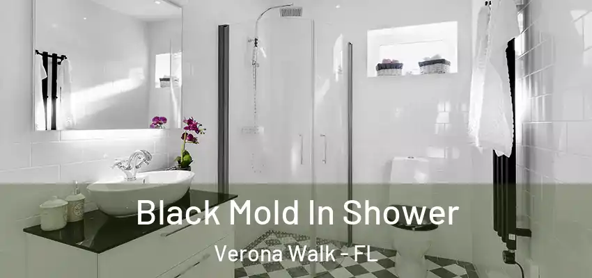  Black Mold In Shower Verona Walk - FL