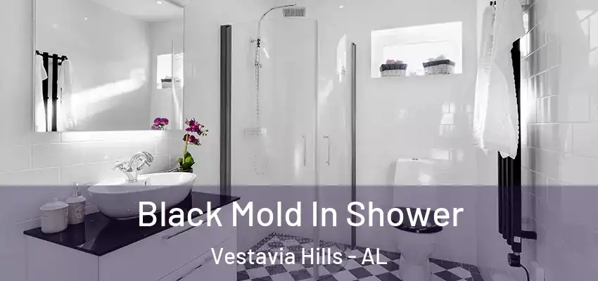  Black Mold In Shower Vestavia Hills - AL