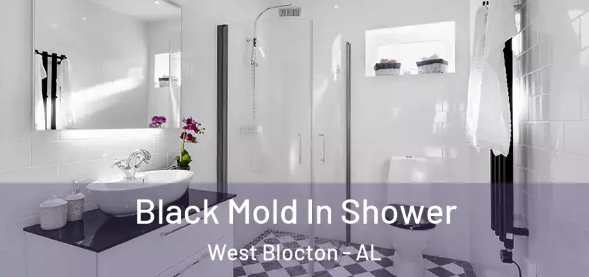  Black Mold In Shower West Blocton - AL