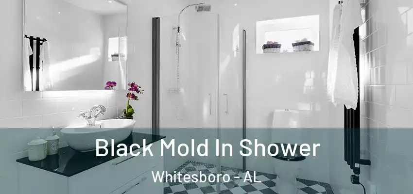  Black Mold In Shower Whitesboro - AL