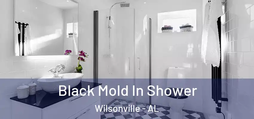 Black Mold In Shower Wilsonville - AL