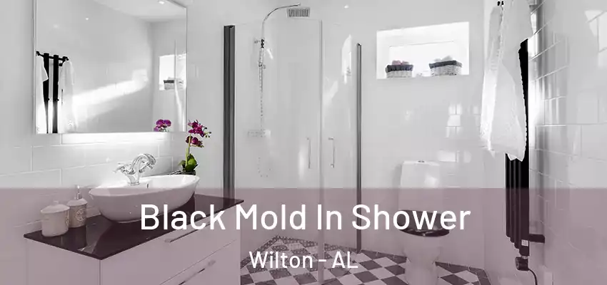  Black Mold In Shower Wilton - AL