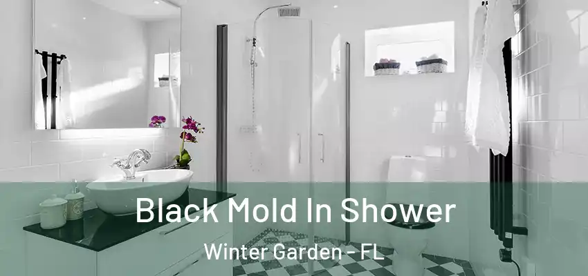  Black Mold In Shower Winter Garden - FL