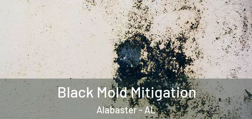Black Mold Mitigation Alabaster - AL