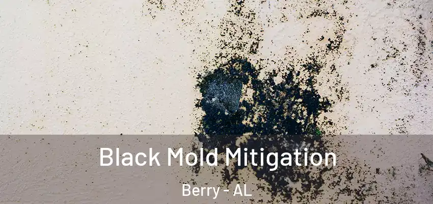  Black Mold Mitigation Berry - AL