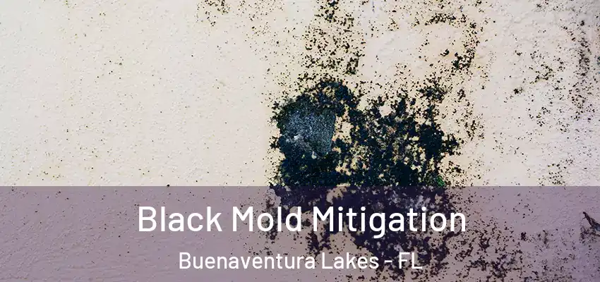 Black Mold Mitigation Buenaventura Lakes - FL