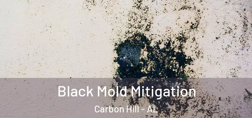 Black Mold Mitigation Carbon Hill - AL