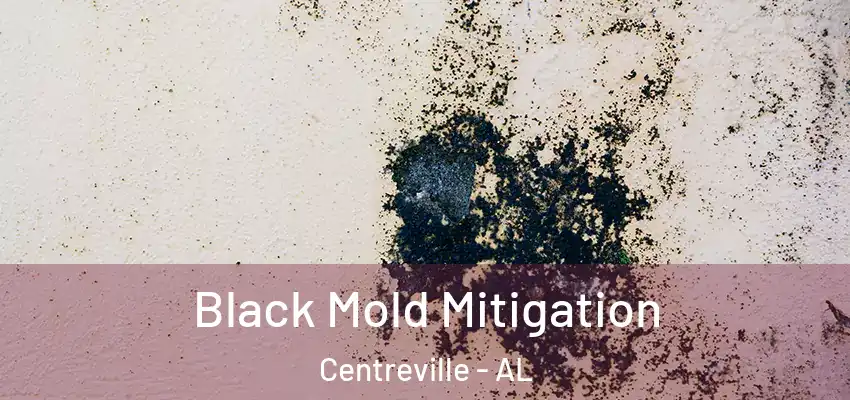  Black Mold Mitigation Centreville - AL