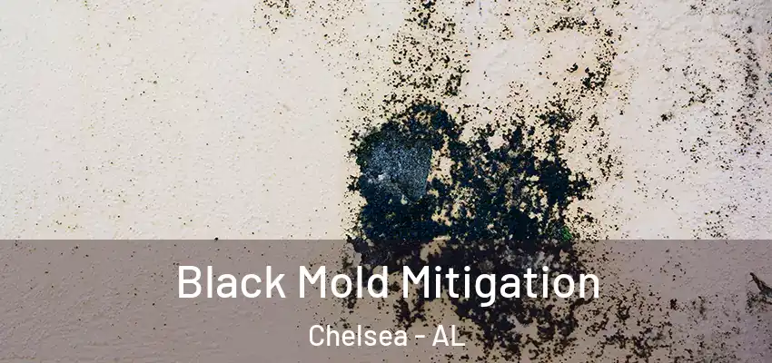  Black Mold Mitigation Chelsea - AL