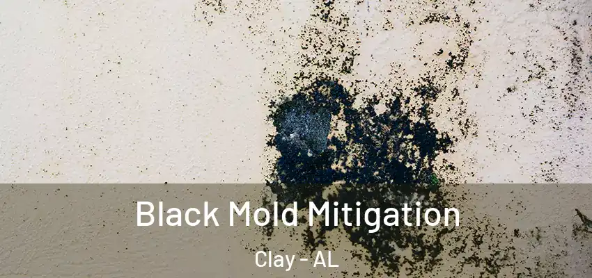 Black Mold Mitigation Clay - AL