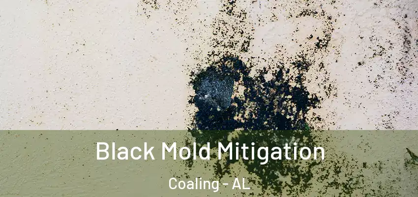 Black Mold Mitigation Coaling - AL