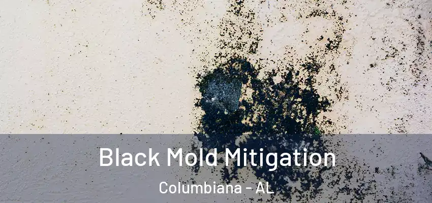  Black Mold Mitigation Columbiana - AL