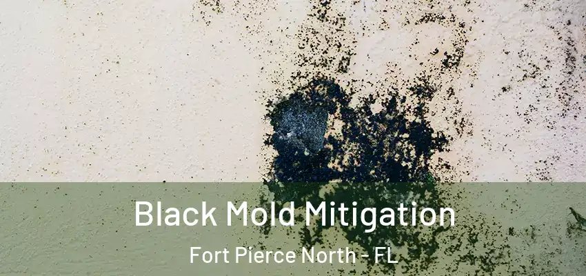  Black Mold Mitigation Fort Pierce North - FL