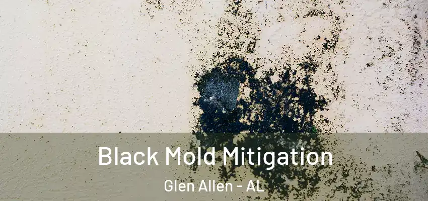  Black Mold Mitigation Glen Allen - AL