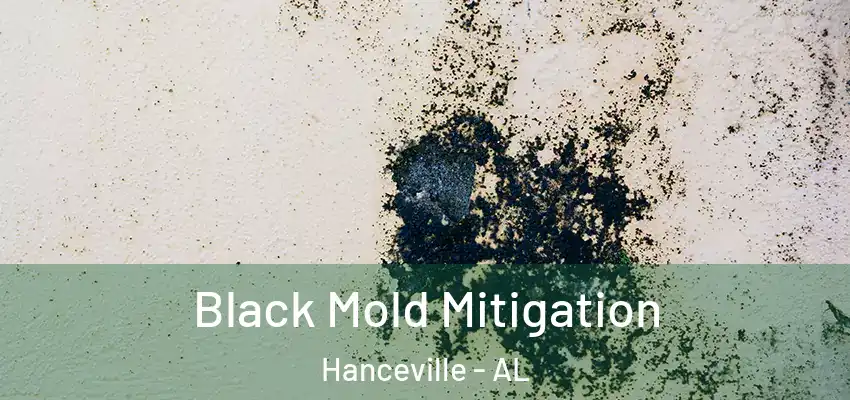 Black Mold Mitigation Hanceville - AL