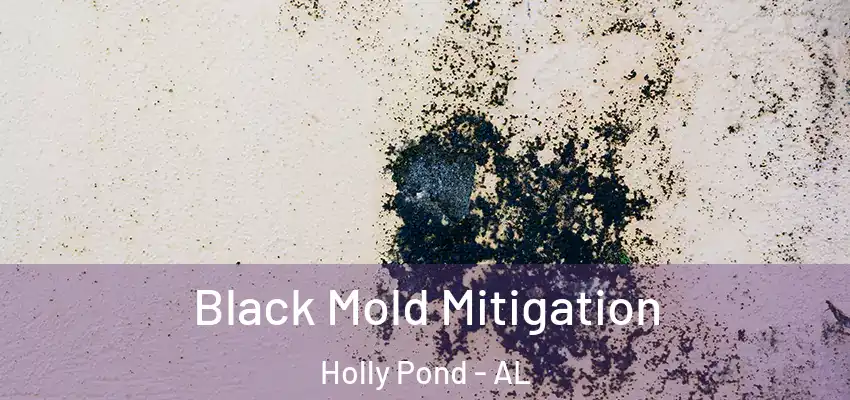 Black Mold Mitigation Holly Pond - AL