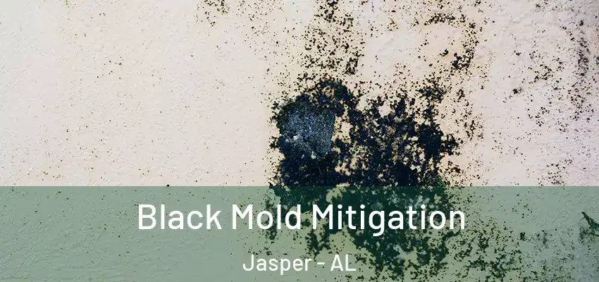 Black Mold Mitigation Jasper - AL