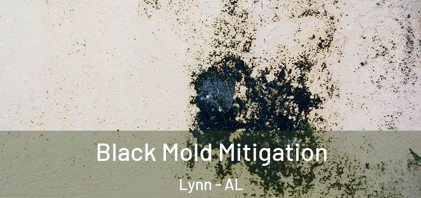  Black Mold Mitigation Lynn - AL