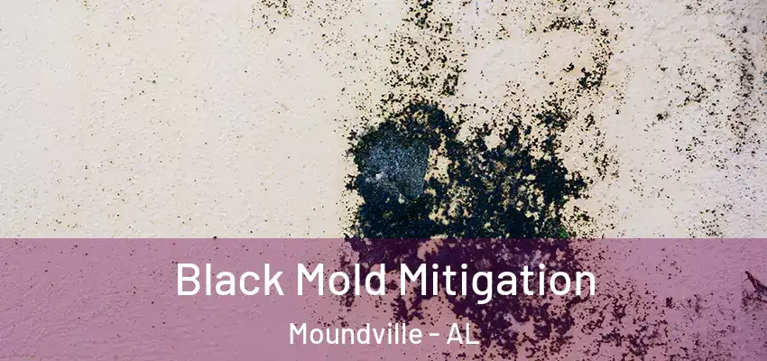 Black Mold Mitigation Moundville - AL