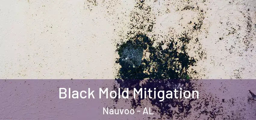  Black Mold Mitigation Nauvoo - AL