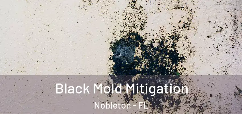  Black Mold Mitigation Nobleton - FL