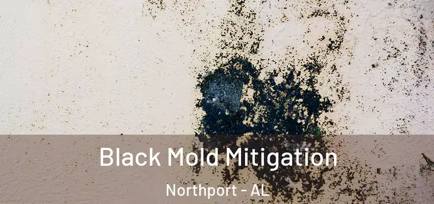  Black Mold Mitigation Northport - AL