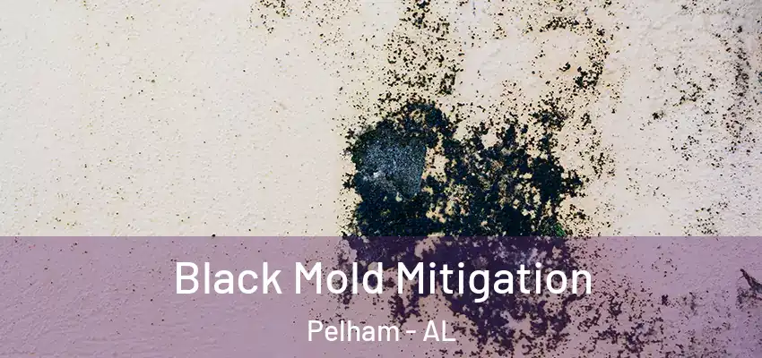  Black Mold Mitigation Pelham - AL