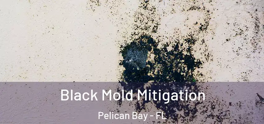  Black Mold Mitigation Pelican Bay - FL