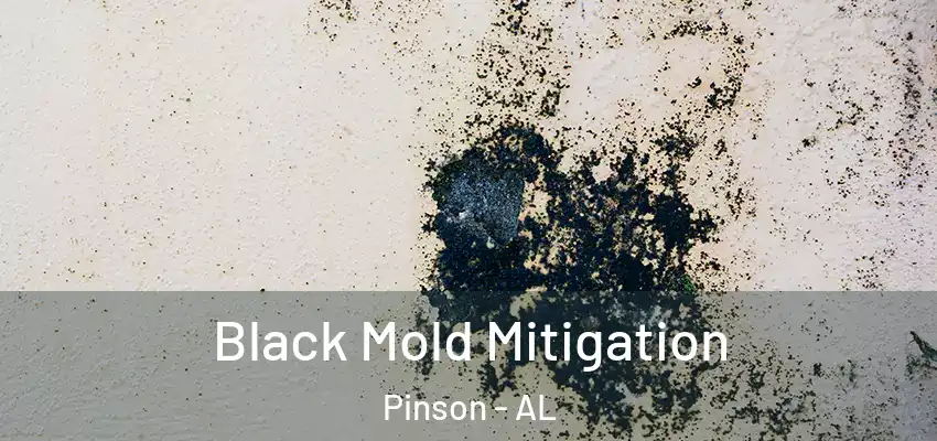  Black Mold Mitigation Pinson - AL