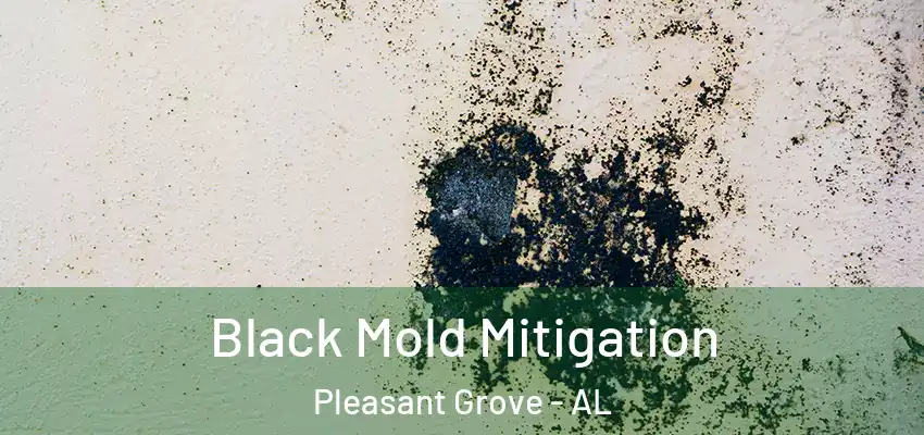  Black Mold Mitigation Pleasant Grove - AL