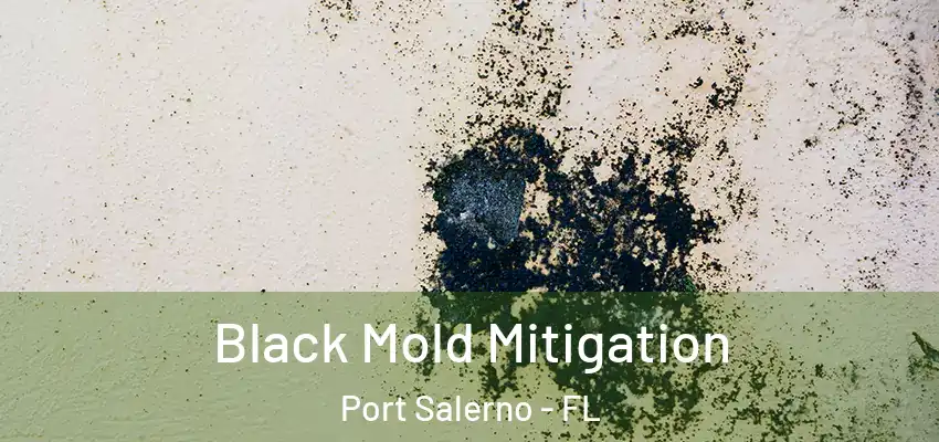  Black Mold Mitigation Port Salerno - FL