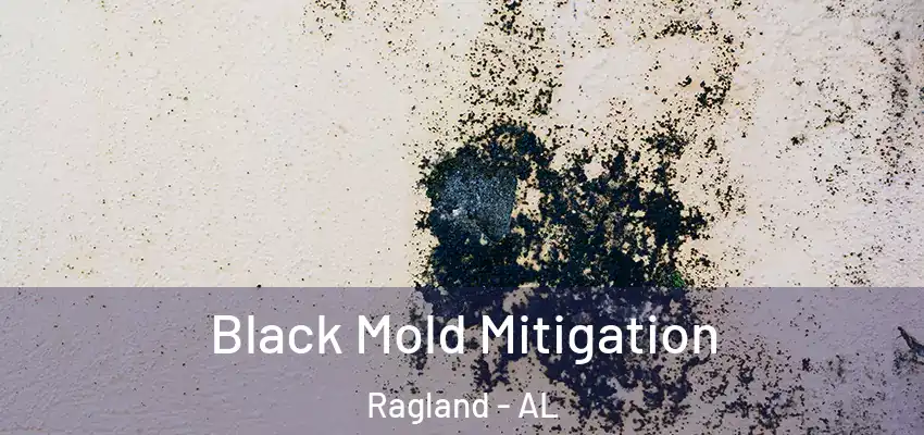 Black Mold Mitigation Ragland - AL