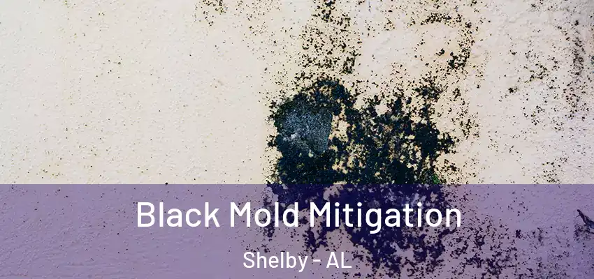 Black Mold Mitigation Shelby - AL