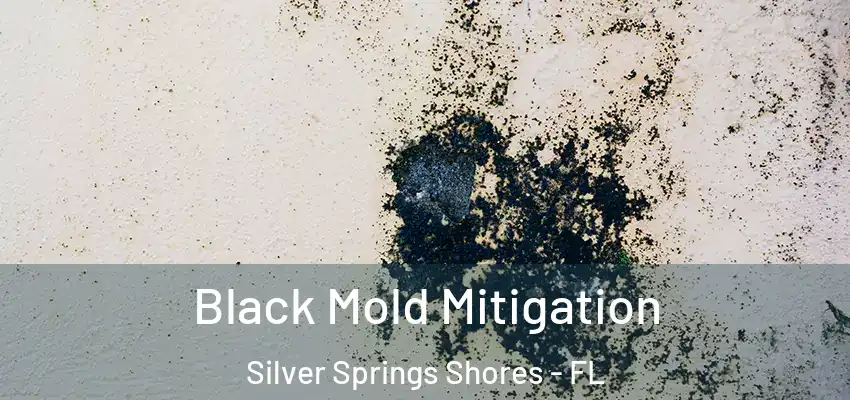 Black Mold Mitigation Silver Springs Shores - FL