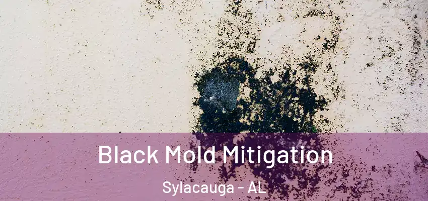  Black Mold Mitigation Sylacauga - AL