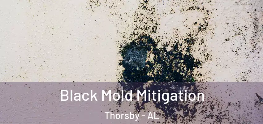  Black Mold Mitigation Thorsby - AL