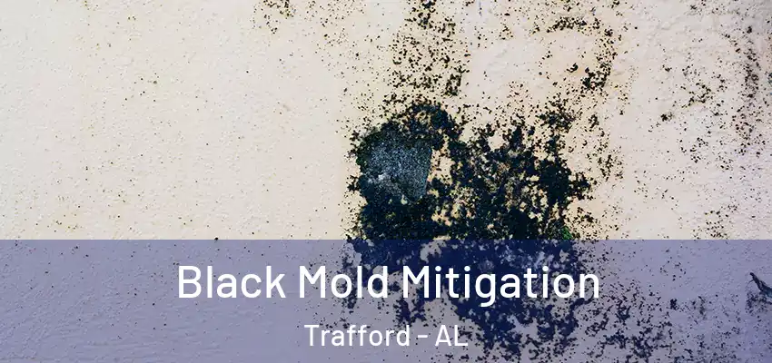 Black Mold Mitigation Trafford - AL