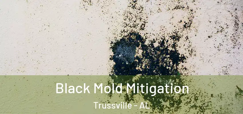  Black Mold Mitigation Trussville - AL