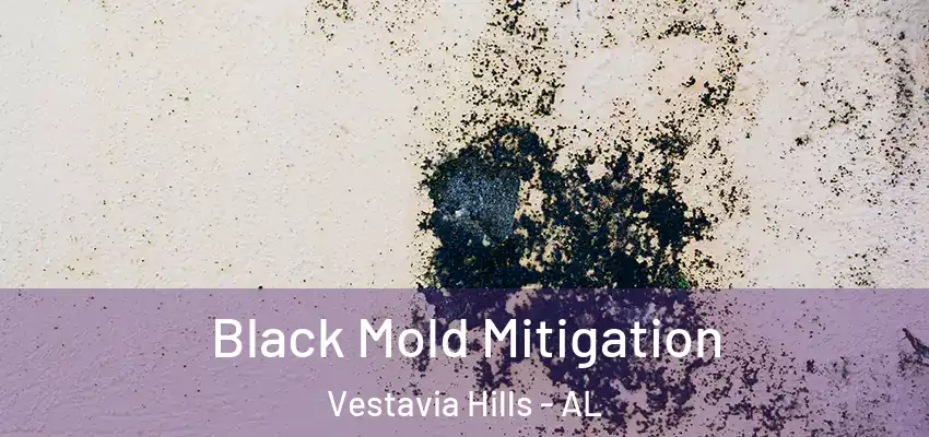 Black Mold Mitigation Vestavia Hills - AL
